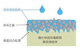 酸化物系固体電解質に粉末正極を塗り付け液体焼結助剤を添加している模式図