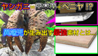 最強！ヤシガニのハサミの秘密から新材料を生み出せ