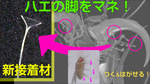 ハエの脚がヒントの新型接着材！