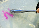 夏休み特別企画　スプーンで寒天にピンク色の絵が描ける！