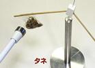 磁石から逃げる果物！