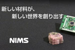 人間を感知する石！？