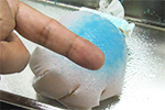 魚で作った医療用接着剤