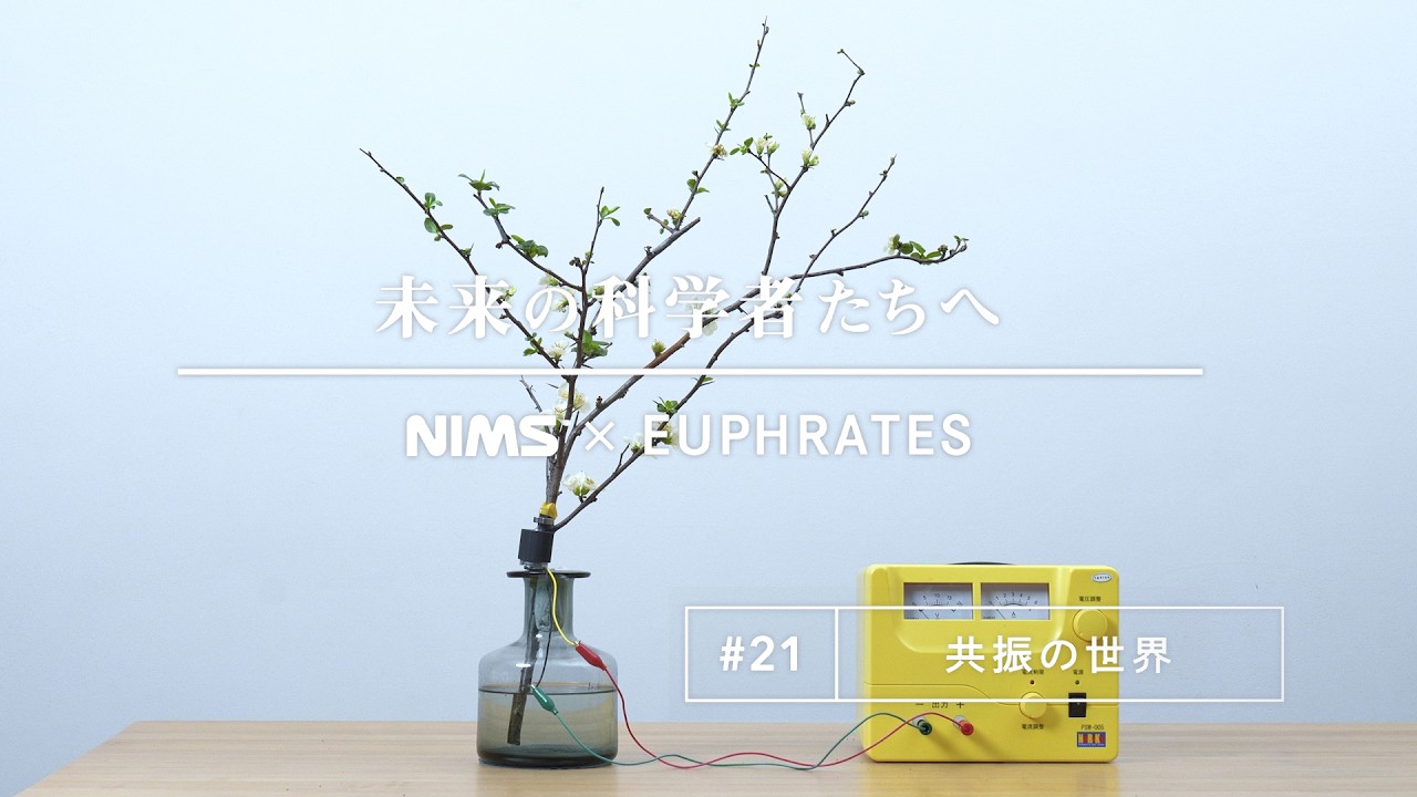 #21 共振の世界