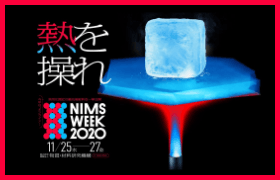 NIMS WEEK 2020 logo