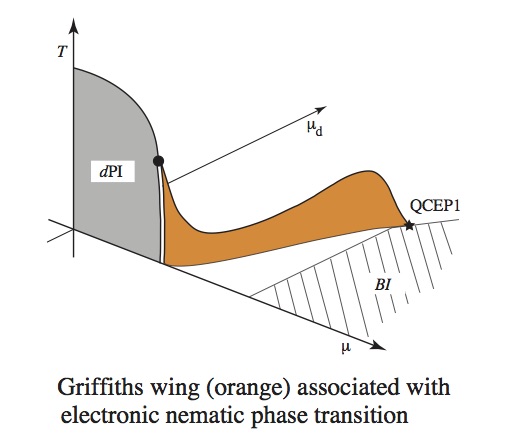 fig2