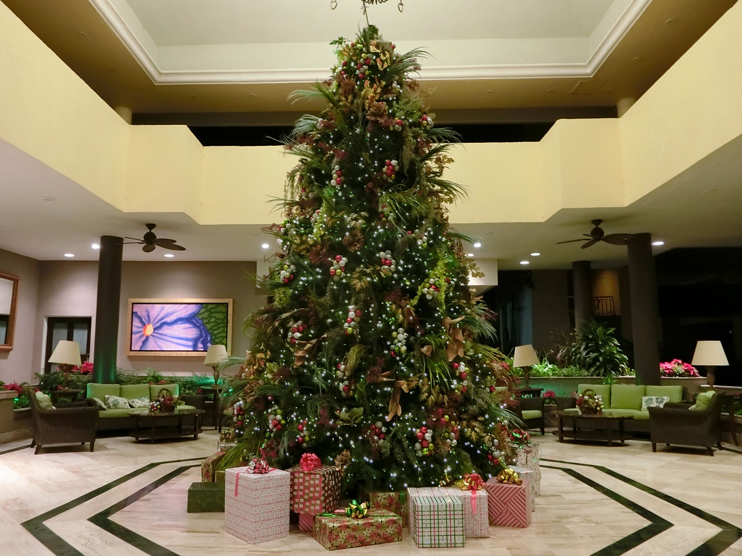 christmas tree of onference hotel, January, 2017