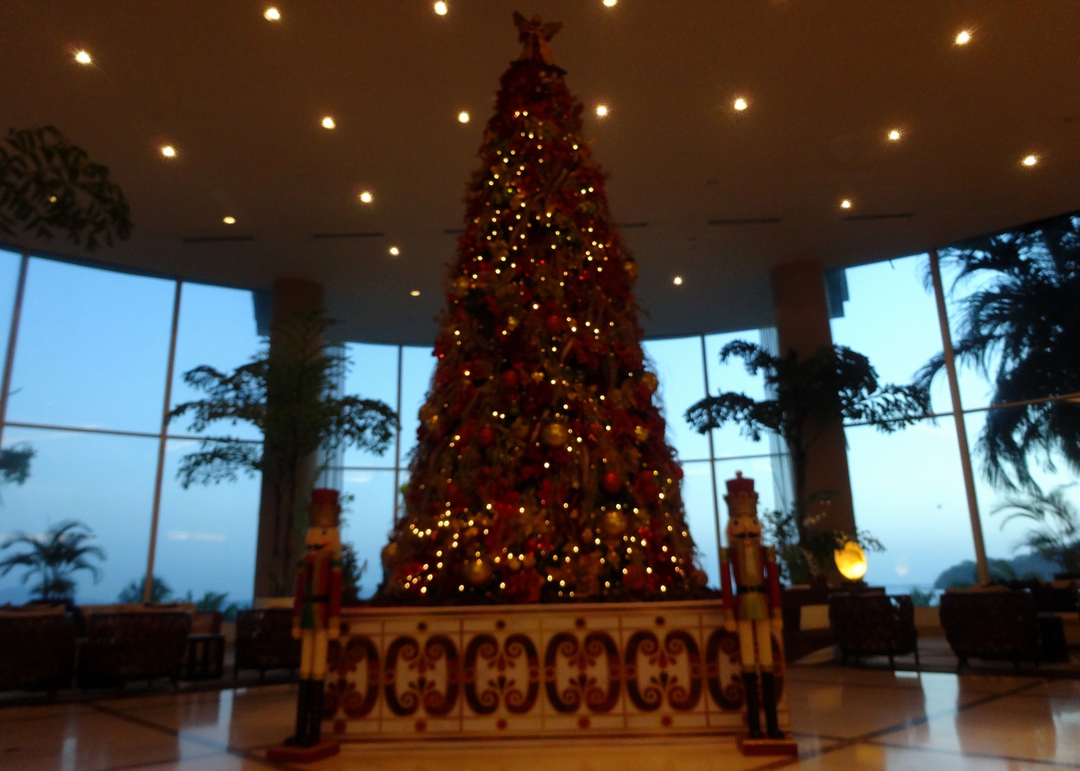 christmas tree, January, 2019