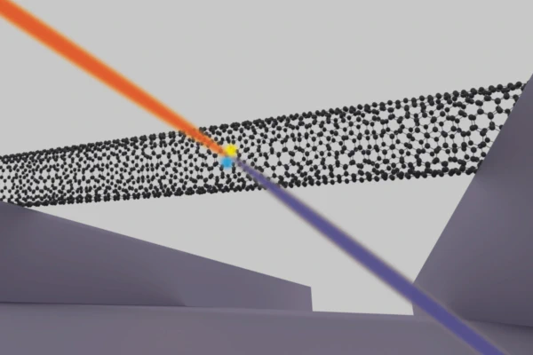1D and 2D Photophysics
