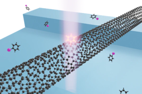 Solid-State Quantum Light Sources