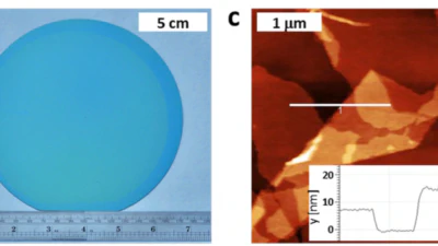 2D polymer published in Nature featured image