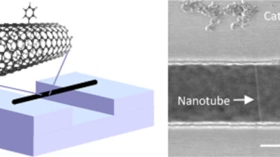 Functionalization of air-suspended nanotubes published in Nature Commnunications featured image