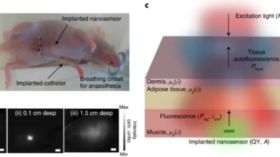Wavelength-induced frequency filtering method published in Nature Nanotechnology featured image
