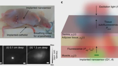 Wavelength-induced frequency filtering method published in Nature Nanotechnology featured image