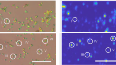 Daichi publishes his work on Discretized hexagonal boron nitride quantum emitters in Nanotechnology featured image
