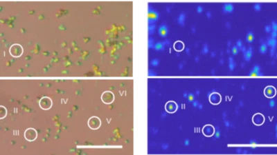 Daichi publishes his work on Discretized hexagonal boron nitride quantum emitters in Nanotechnology featured image