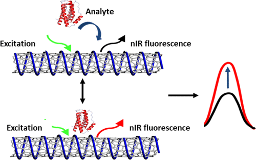 カーボンナノチューブによるインターロイキン6分子認識の論文がACS Appl. Mater. Interfacesより出版 featured image