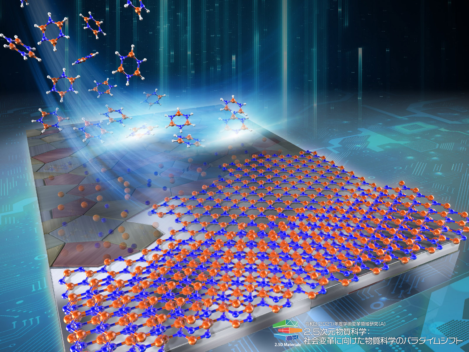 2.5次元物質科学