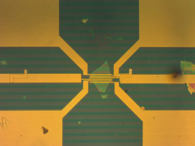 2Dオプトエレクトロニクス