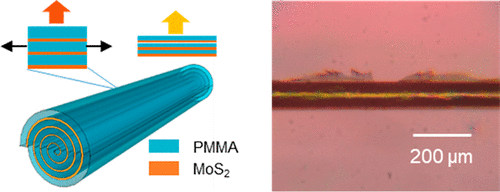 2D MoS2からなるアルキメデスの渦型ファイバー