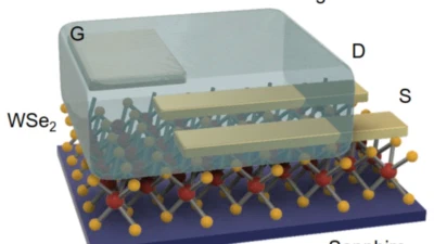 Photodetection in electrolyte-gated transistors of two-dimensional crystals featured image