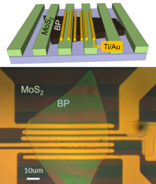 BP-MoS2 電界効果フォトトランジスタ