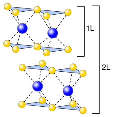 単層と二層の格子構造