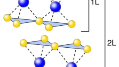 Photocarrier relaxation pathway in two-dimensional semiconductors featured image