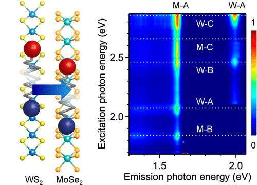 二次元結晶間の高効率エネルギー移動