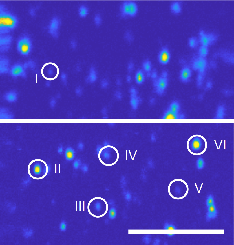 Quantum emitters in hexagonal boron nitride | Daichi Kozawa, NIMS
