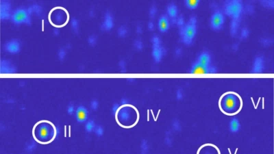 Quantum emitters in hexagonal boron nitride featured image