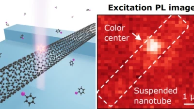 Deterministic Formation of Single Organic Color Centers in Carbon Nanotubes featured image