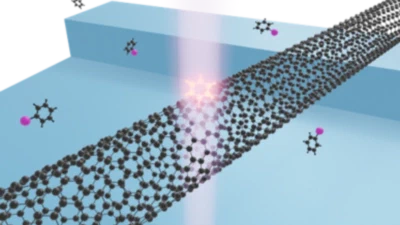 Solid-State Quantum Light Sources featured image