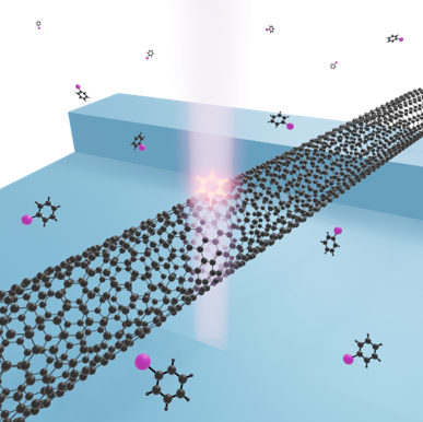 架橋カーボンナノチューブに導入した量子欠陥