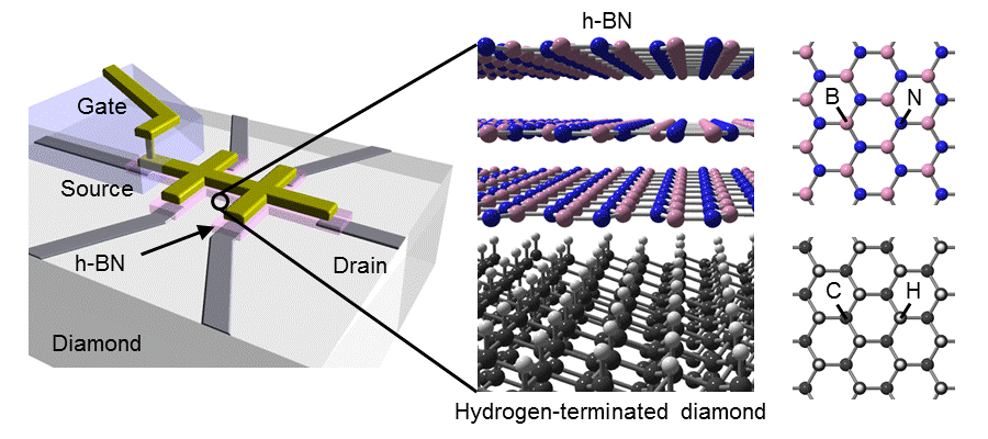 Diamond field-effect transistor with a hexagonal-boron-nitride gate dielectric