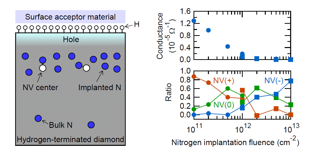 Surface transfer doping of hydrogen-terminated diamond probed by shallow nitrogen-vacancy centers
