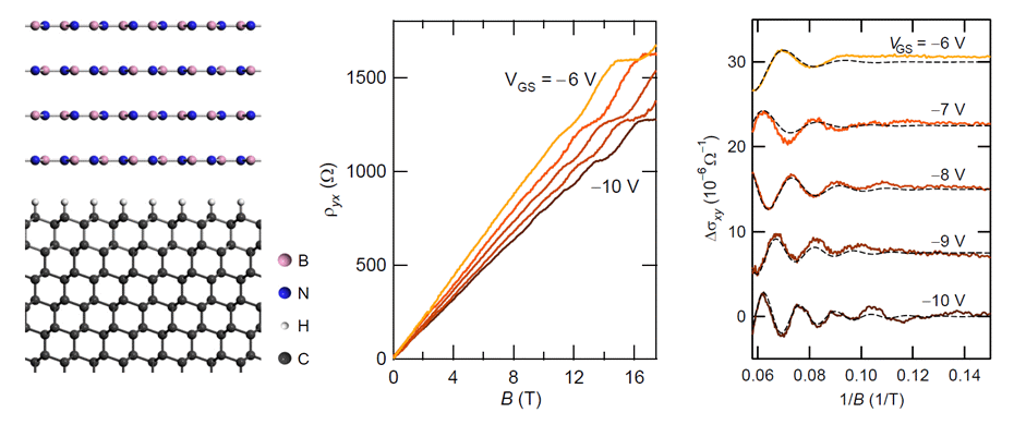 Quantum oscillations in diamond field-effect transistors with a h-BN gate dielectric