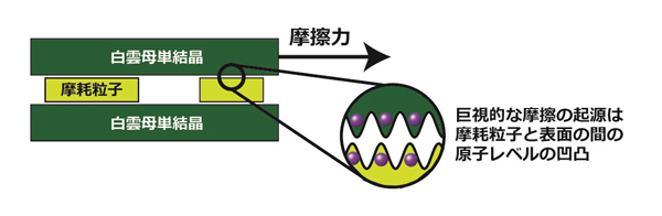 粘土鉱物の摩擦の起源を原子スケールから解明