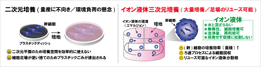 イオン性の液体表面で幹細胞の培養に成功～再生医療に貢献する細胞資源の培養効率、大幅引き上げに向けて～