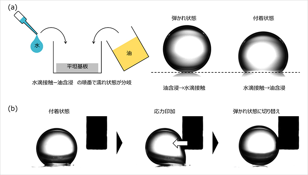 界面化学200年の常識〜濡れ方は一つに定まる〜を覆す！ 濡れ方が二状態に分岐する表面設計方法 — PFASフリーの撥水材料開発にも道。濡れ性制御の新たな設計指針を提示 —
