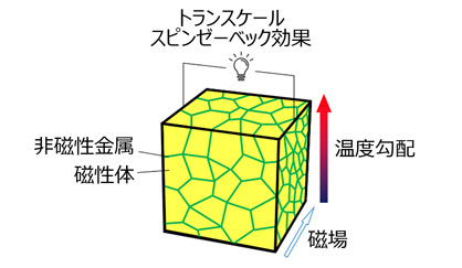 プレスリリースの図 : 縦型・横型熱電効果の模式図