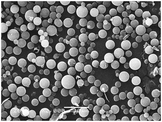 タラゼラチンを用いて調製した粒子の顕微鏡写真