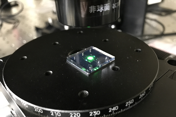 バイオ分子メタ表面センサーの写真