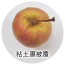 粘土膜で被覆したリンゴの写真