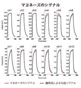 マヨネーズのMSS測定結果の写真