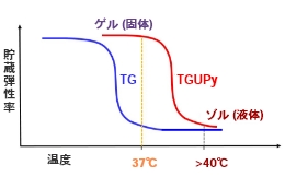 医療用接着剤のゲル化する温度の図