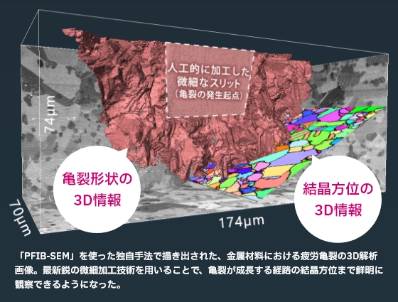 金属材料における疲労亀裂の3D解析画像