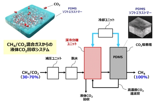 PDMSの模式図