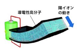 液晶高分子ソフトアクチュエータの仕組みの図