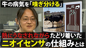 movieサムネイル